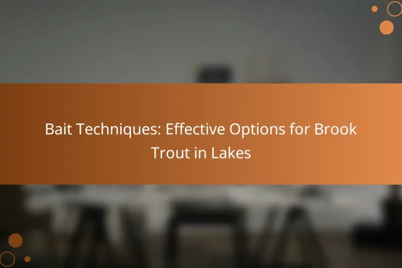Bait Techniques: Effective Options for Brook Trout in Lakes