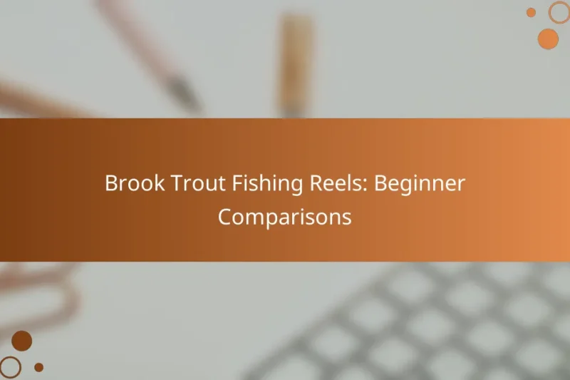 Brook Trout Fishing Reels: Beginner Comparisons