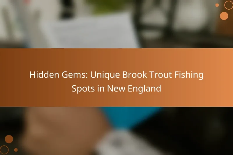 Hidden Gems: Unique Brook Trout Fishing Spots in New England