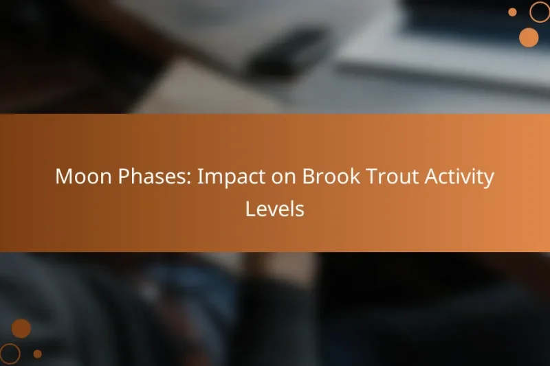 Moon Phases: Impact on Brook Trout Activity Levels