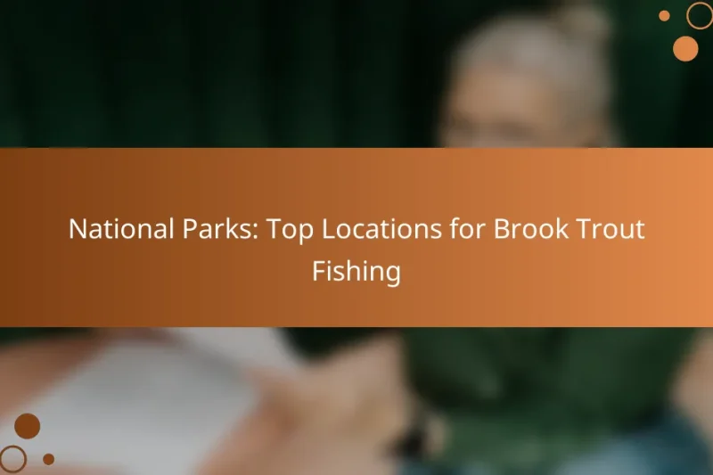 National Parks: Top Locations for Brook Trout Fishing