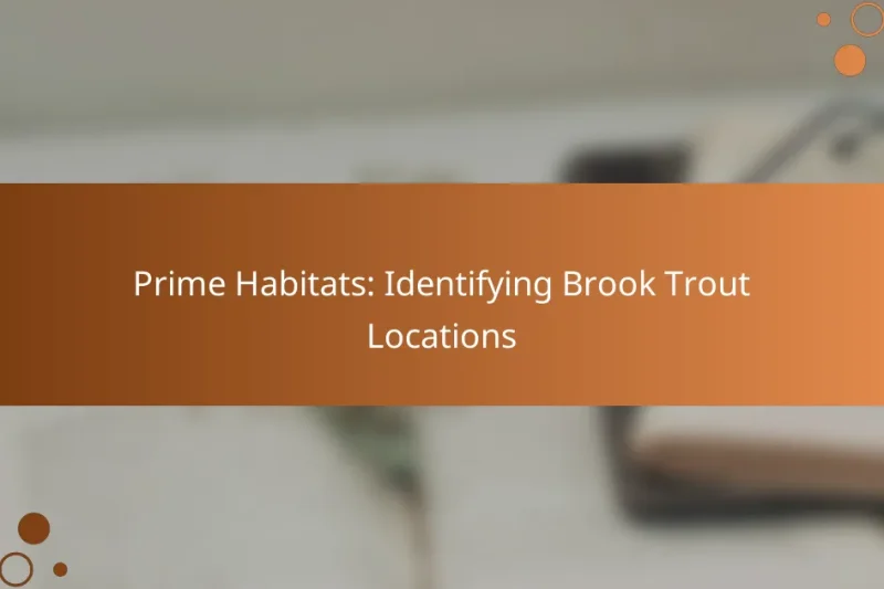 Prime Habitats: Identifying Brook Trout Locations