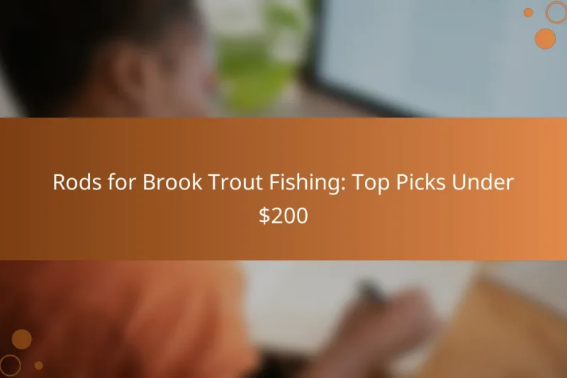 Rods for Brook Trout Fishing: Top Picks Under $200