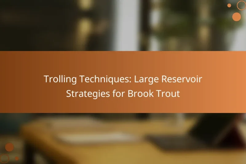 Trolling Techniques: Large Reservoir Strategies for Brook Trout