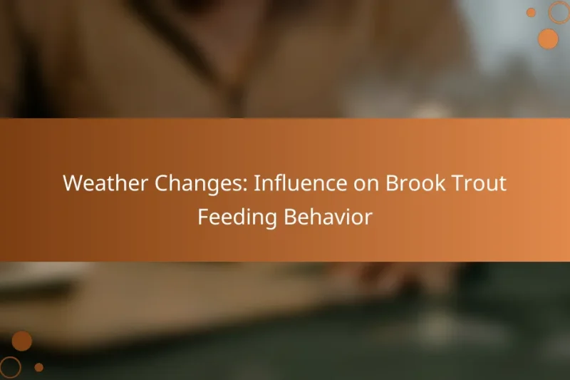 Weather Changes: Influence on Brook Trout Feeding Behavior
