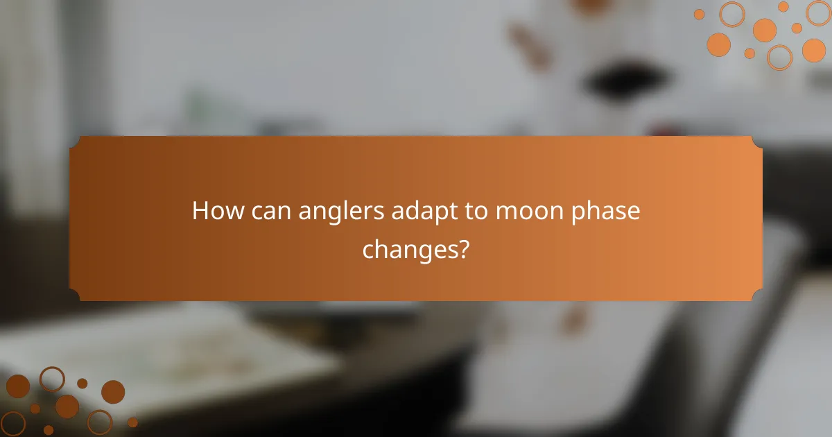 How can anglers adapt to moon phase changes?