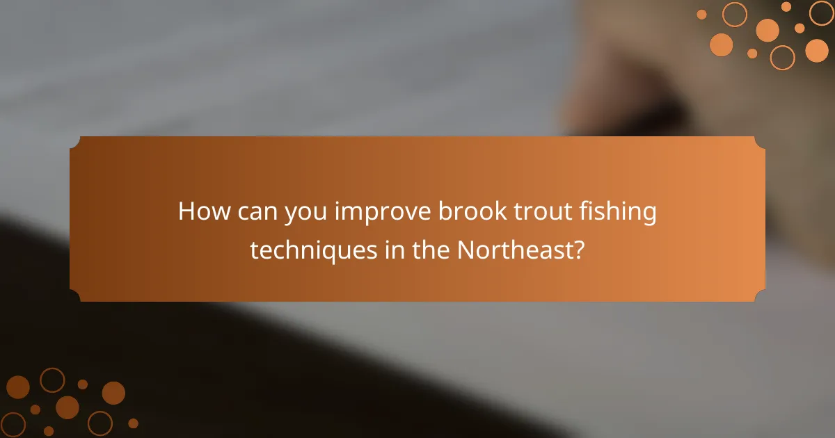 How can you improve brook trout fishing techniques in the Northeast?