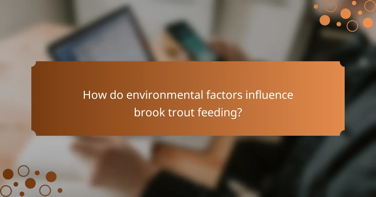 How do environmental factors influence brook trout feeding?