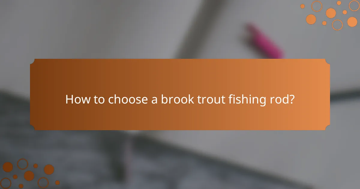 How to choose a brook trout fishing rod?
