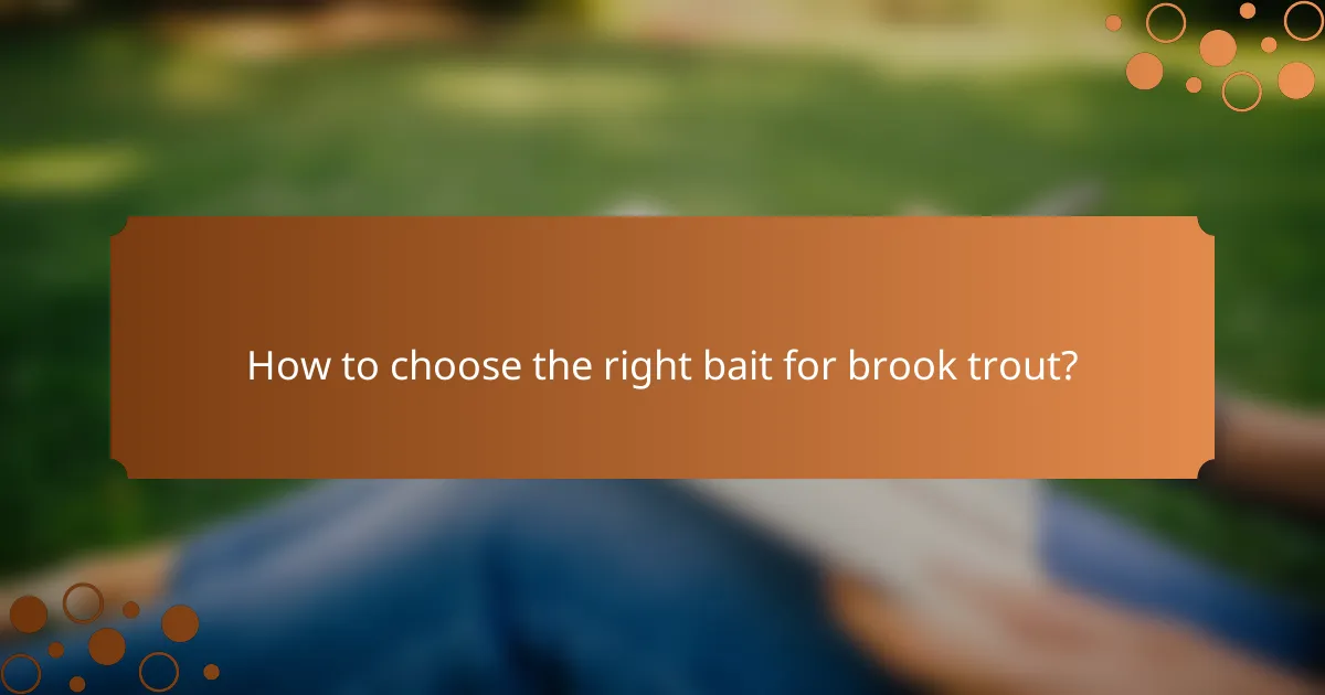 How to choose the right bait for brook trout?