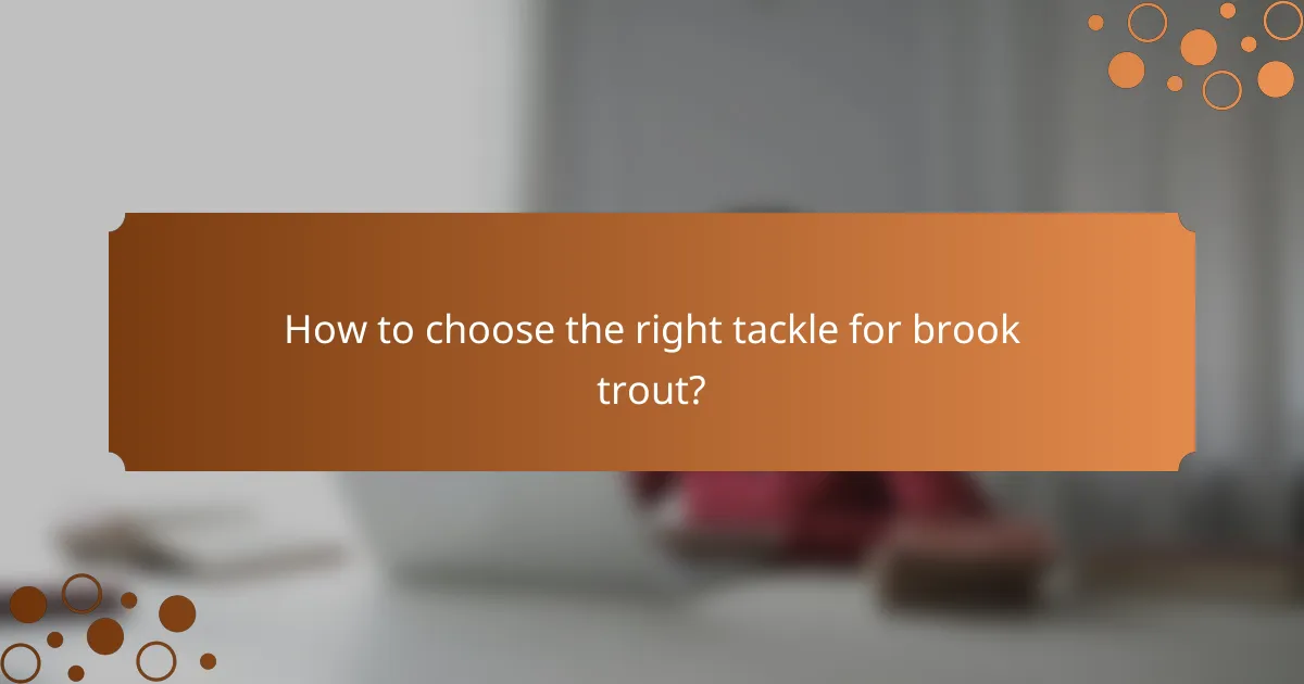 How to choose the right tackle for brook trout?