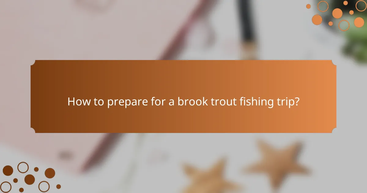 How to prepare for a brook trout fishing trip?