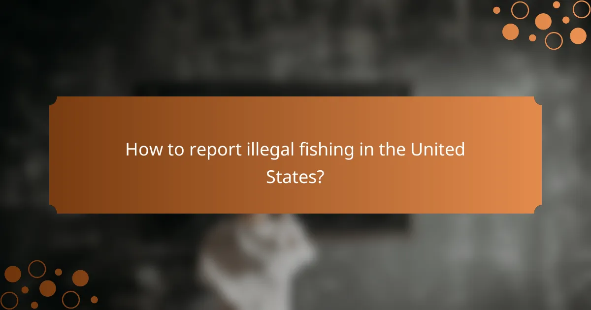 How to report illegal fishing in the United States?