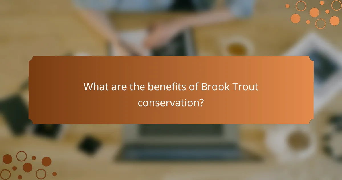 What are the benefits of Brook Trout conservation?