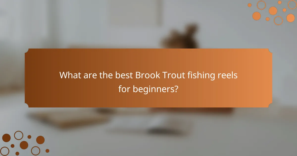 What are the best Brook Trout fishing reels for beginners?