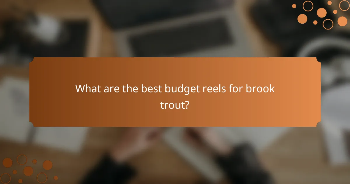 What are the best budget reels for brook trout?