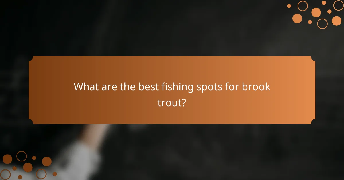 What are the best fishing spots for brook trout?