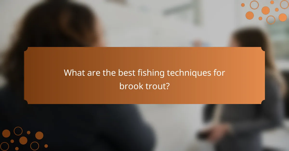 What are the best fishing techniques for brook trout?