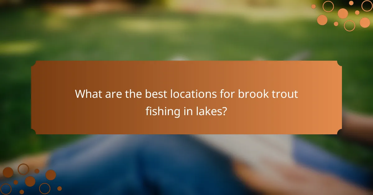What are the best locations for brook trout fishing in lakes?