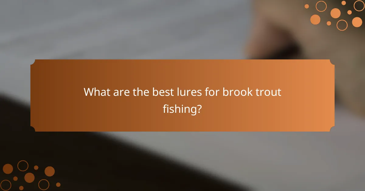 What are the best lures for brook trout fishing?