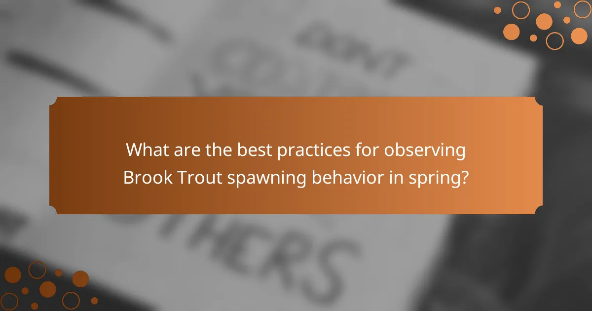What are the best practices for observing Brook Trout spawning behavior in spring?