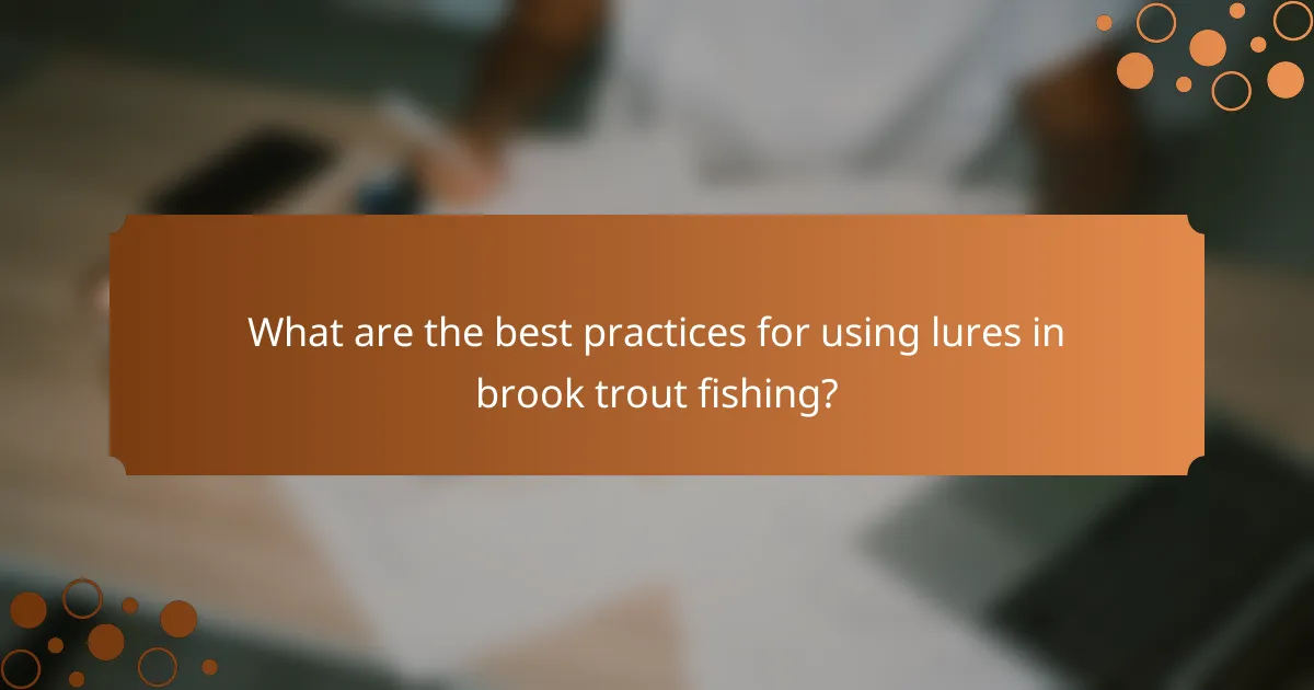 What are the best practices for using lures in brook trout fishing?