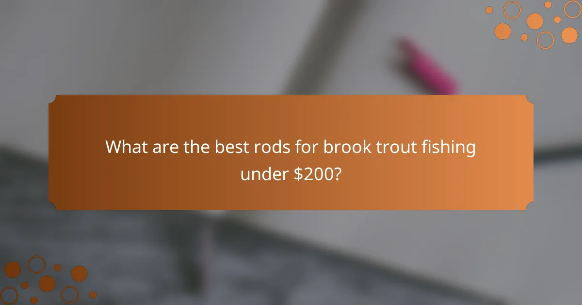 What are the best rods for brook trout fishing under $200?