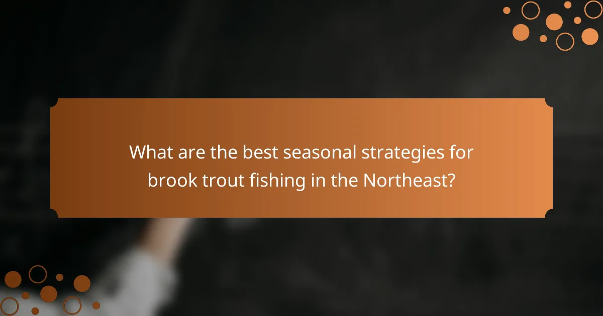 What are the best seasonal strategies for brook trout fishing in the Northeast?