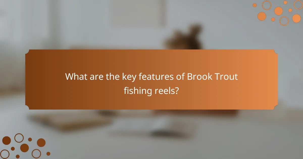 What are the key features of Brook Trout fishing reels?