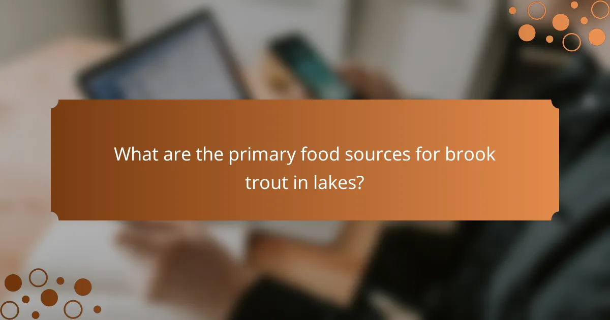 What are the primary food sources for brook trout in lakes?