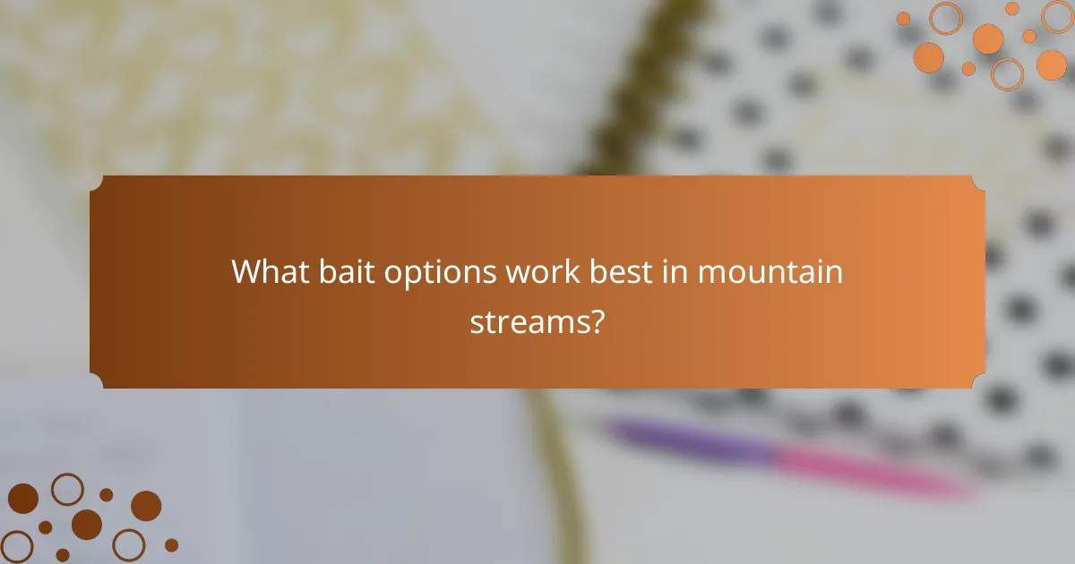 What bait options work best in mountain streams?