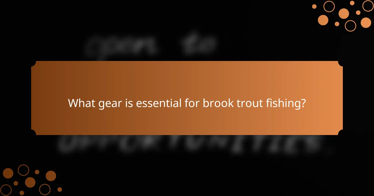 What gear is essential for brook trout fishing?