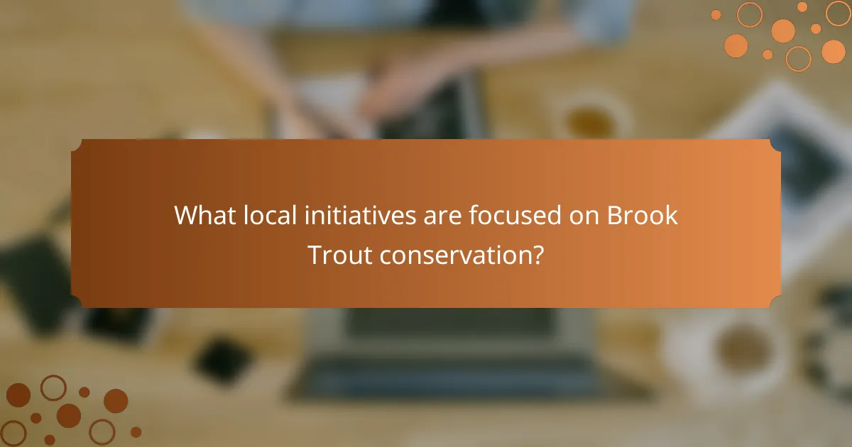 What local initiatives are focused on Brook Trout conservation?