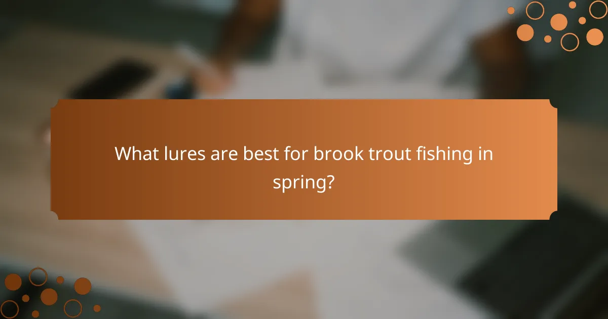 What lures are best for brook trout fishing in spring?