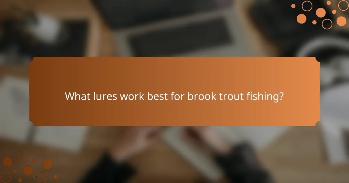 What lures work best for brook trout fishing?