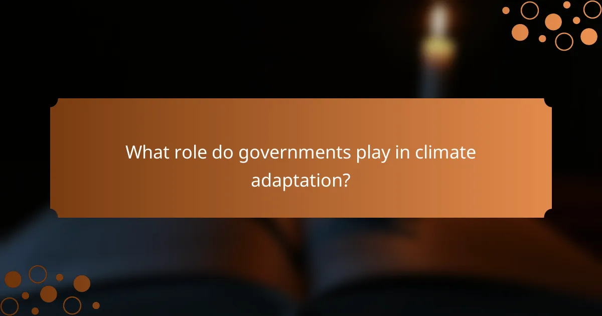 What role do governments play in climate adaptation?