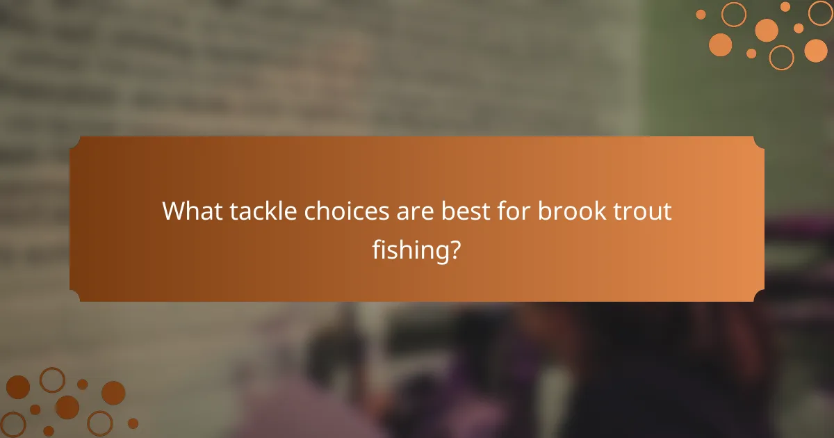 What tackle choices are best for brook trout fishing?