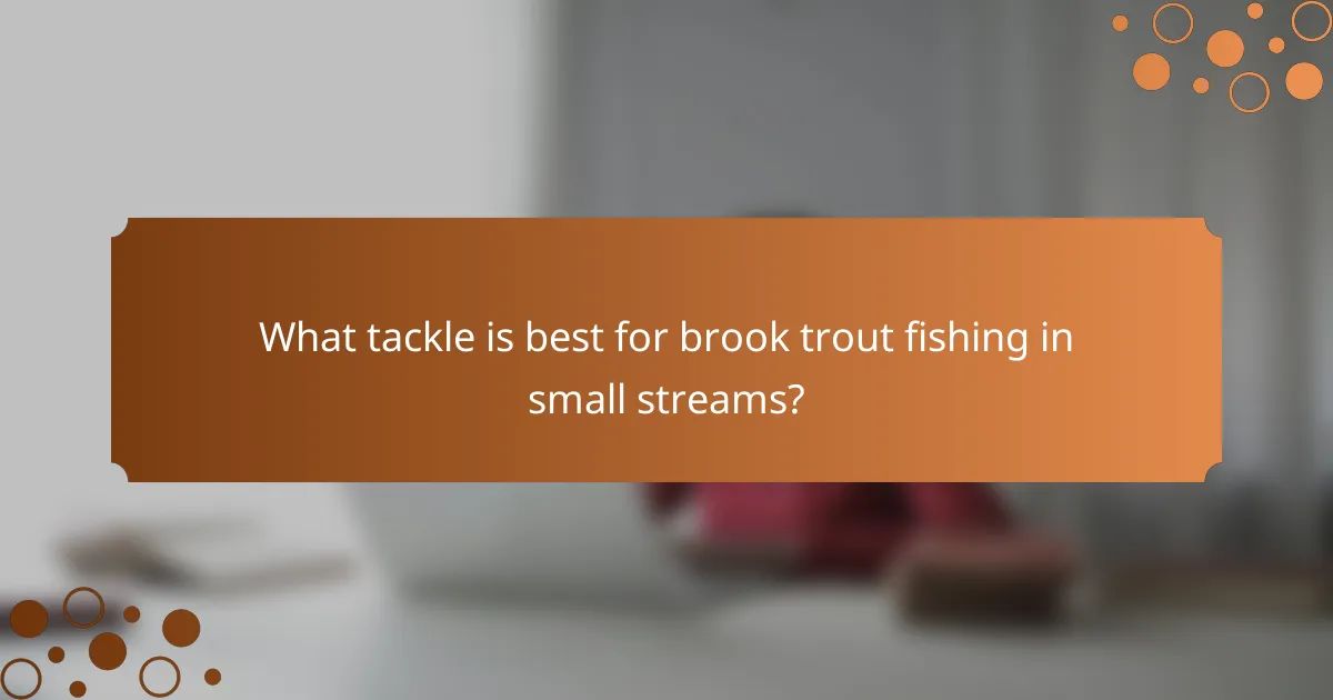 What tackle is best for brook trout fishing in small streams?