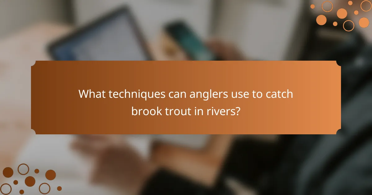 What techniques can anglers use to catch brook trout in rivers?