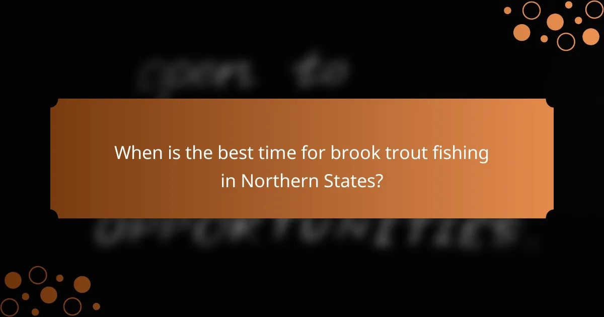 When is the best time for brook trout fishing in Northern States?