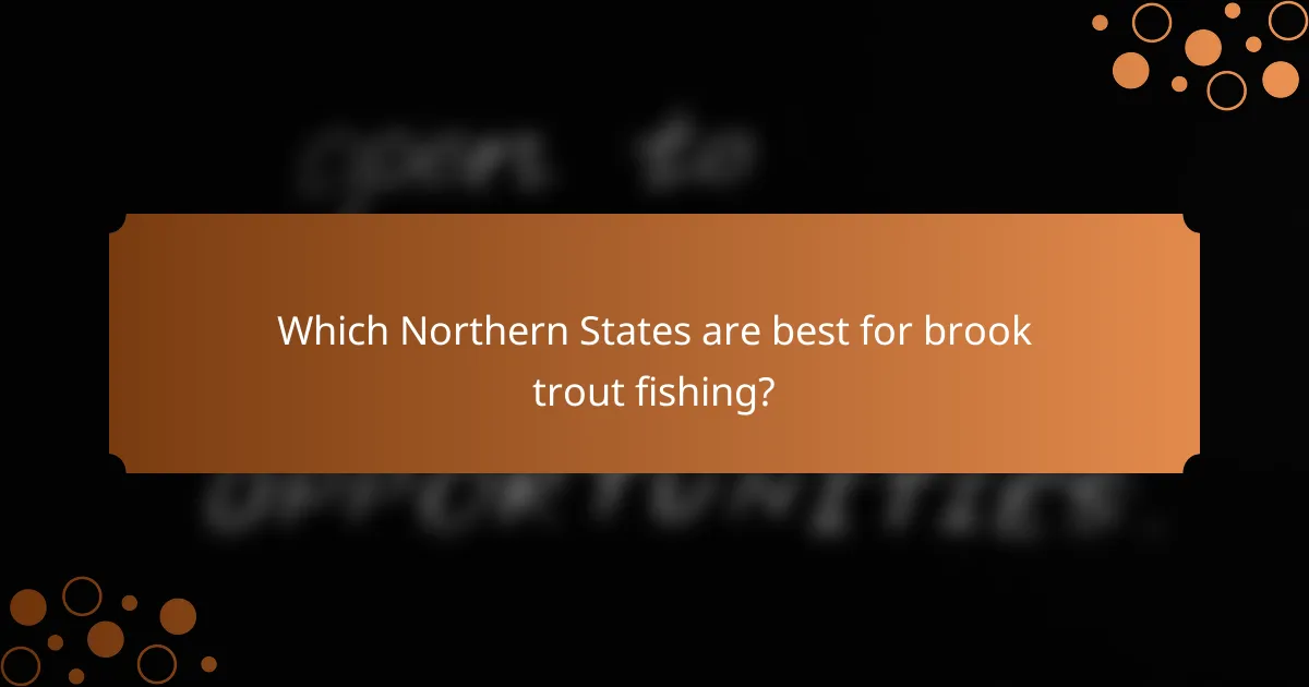 Which Northern States are best for brook trout fishing?